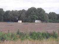 20160604_071159.jpg