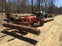 IMG_1172[1].JPG