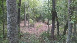 IMG_20160729_131132882.jpg