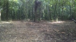 IMG_20160730_094243602.jpg