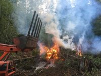 feeding-burnpile16.jpg