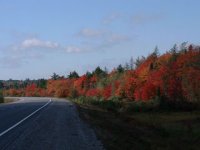 754991-South Shore colour-2.jpg