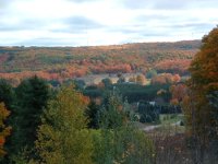 755015-FallDownHill.JPG
