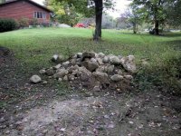 IMG_1006.jpg