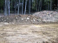 755028-IMG_1007.jpg