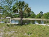 635816-pond2_040404.jpg
