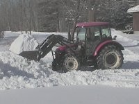 12205 side view swamp snow.jpg
