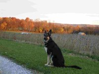755635-maxx.jpg