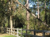 755696-PA170009 (2).JPG