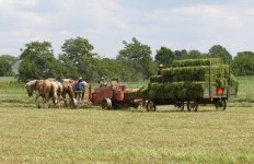 680596-Baling.jpg