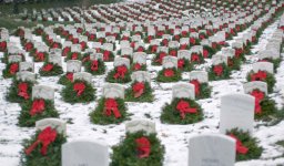 793417-arlington_wreaths_800.jpg