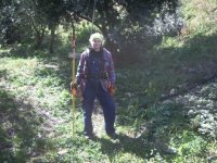839740-TreePrunning 023.jpg