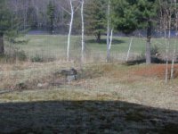636476-Image004r.jpg
