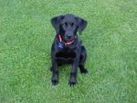 839997-Siena14weeks.JPG