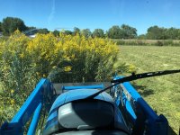 Mowing 2.JPG