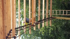 20150606_134549.jpg
