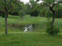 ImageUploadedByTractorByNet1461019346.676254.jpg