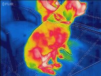 flir_20160726T112055.jpg