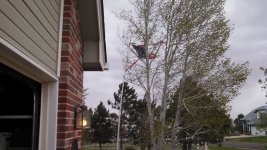 Uncommon Flagpole high wind.jpg