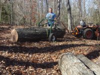 3 large log on arch-1.jpg