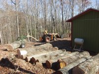 7 logs ready.JPG