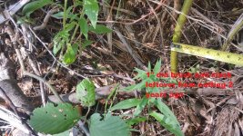 20160805_094459.jpg