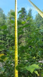 20160805_094549.jpg
