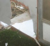 dog door.jpg