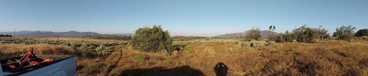 IMAG0627.jpg