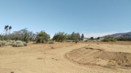 IMAG0666.jpg
