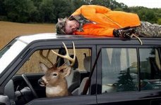 deerhunter.jpg