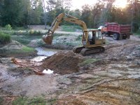 10-15-16 CAT Doing Her Thing.jpg