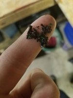 20170228_182752.jpg