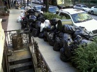 pile-of-garbage-bags.jpg