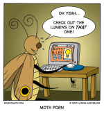 2010-08-25-moth.png