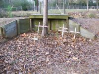 Ferrets and Milo Grave Markers.jpg