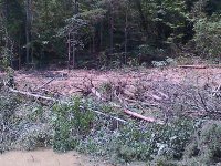 IMG-20150827-00018.jpg