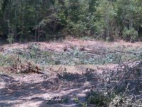IMG-20150827-00023.jpg