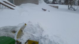 20161122_074136.jpg
