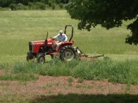 dad mowing.JPG