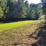 20161001_094452.jpg 20161001_094452.jpg