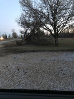 IMG_9367.JPG