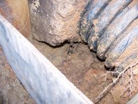 1-21-17 Suspected Leak Area Caused By Duck Dabbling.jpg 1-21-17 Suspected Leak Area Caused By Duck Dabbling.jpg