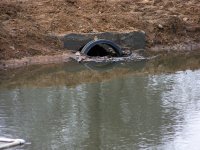 1-28-17 Small Pond Overflow Concrete Corner Low.jpg