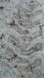 rps20161226_103850_088.jpg rps20161226_103850_088.jpg