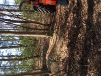 IMG_0035[1].JPG