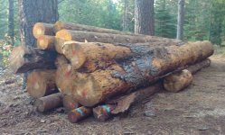 Logs1.jpg