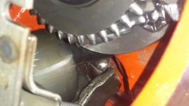 20170129_114825.jpg