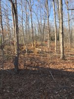 IMG_9392.JPG