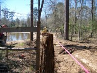 2-25-17 Pink Fence String.jpg